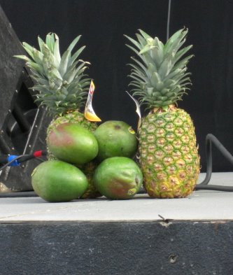 Fiesta2008/CIMG3252.JPG