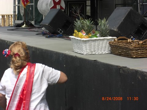 Fiesta2008/CIMG3262.JPG